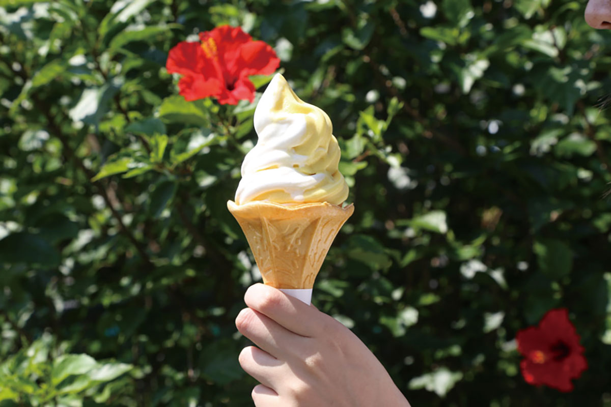 たんかんソフトクリーム - 南大隅町公式観光サイト サザン