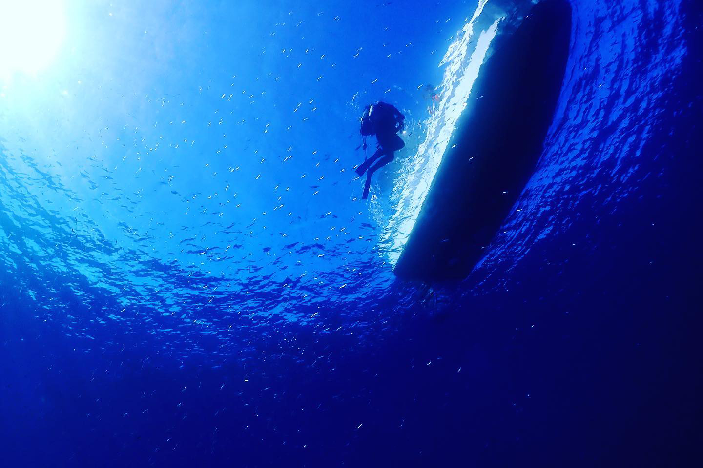 ちょっと底の異世界へ。佐多の海でヴァルドアインザームカイトした話