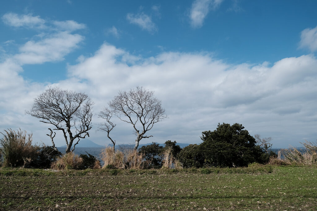 最果ての地をめぐる、写真の旅。～ファインダー越しに見た、冬の南大隅町～ Day.1