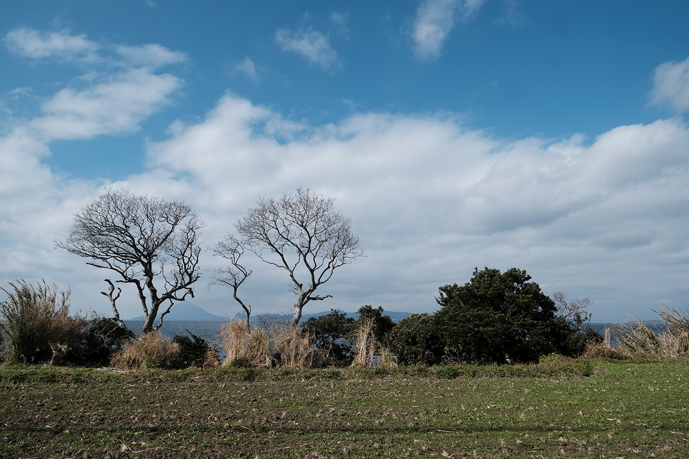 最果ての地をめぐる、写真の旅。～ファインダー越しに見た、冬の南大隅町～ Day.1