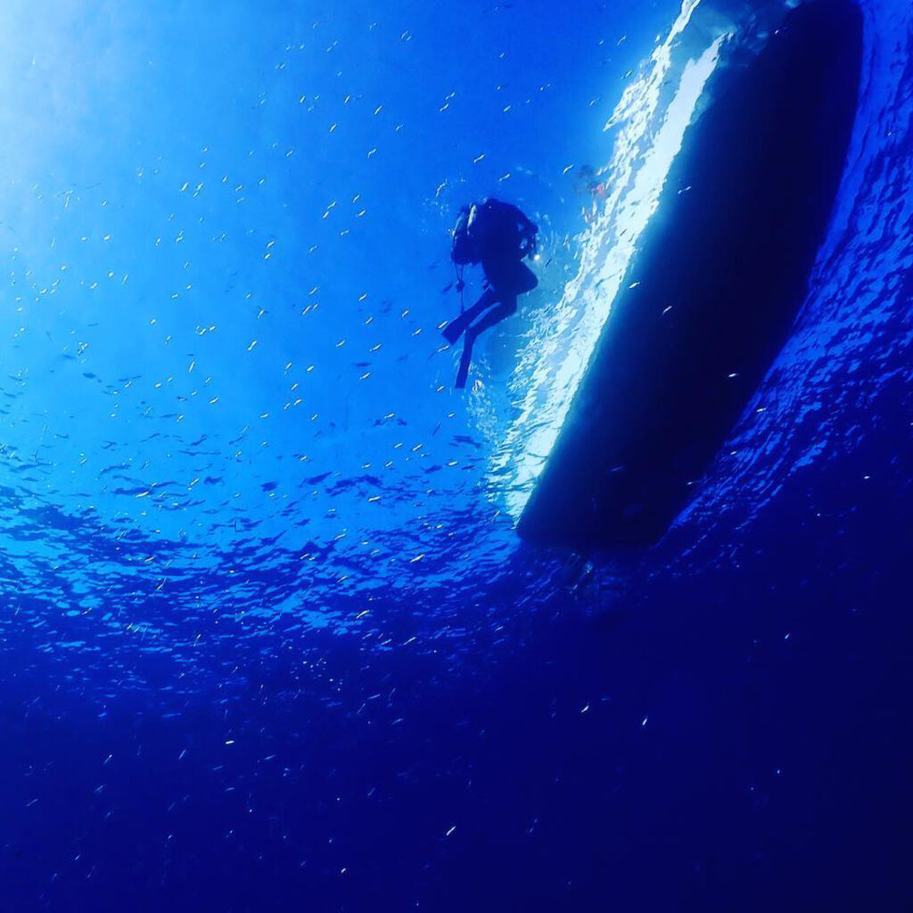 ちょっと底の異世界へ。佐多の海でヴァルドアインザームカイトした話